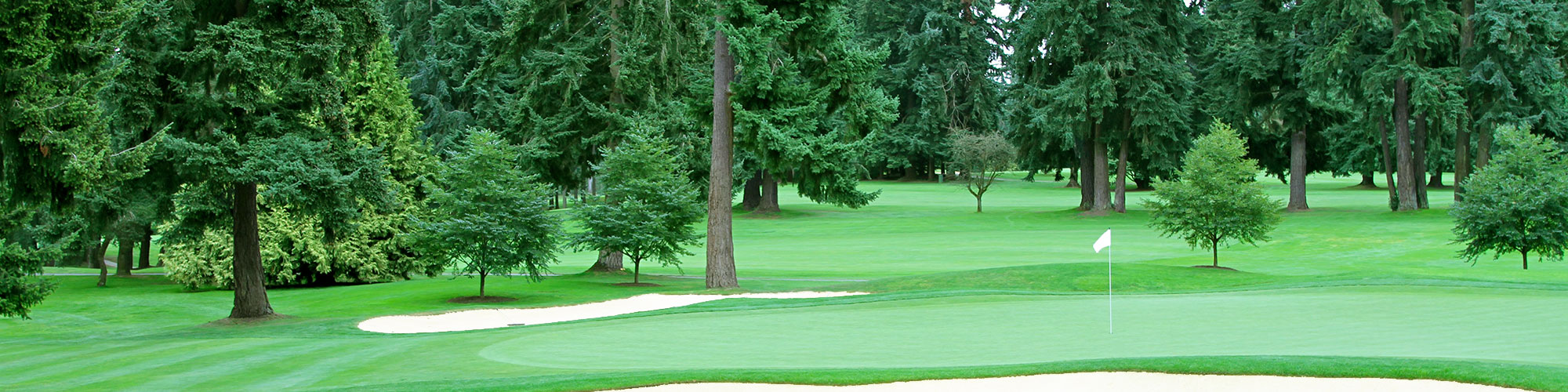 green golf course in the northwest